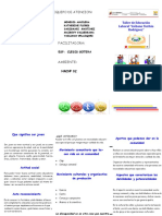 Triptico Dicapacidad PDF