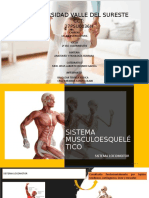 Sistema Musculoesqueletico