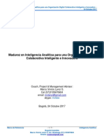 MVLS - Madurez en Inteligencia Analítica para Una Organización Digital Colaborativa Inteligente e Innovadora - V24Oct2017