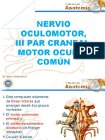 3nervio Motor Ocular Comun