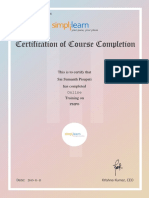 Simplilearn - PMP Online Course Completion