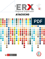 Perx Ayacucho PDF