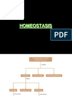 Materi Homeostasis 2019-1