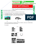 Recursos naturales: clases y ejemplos