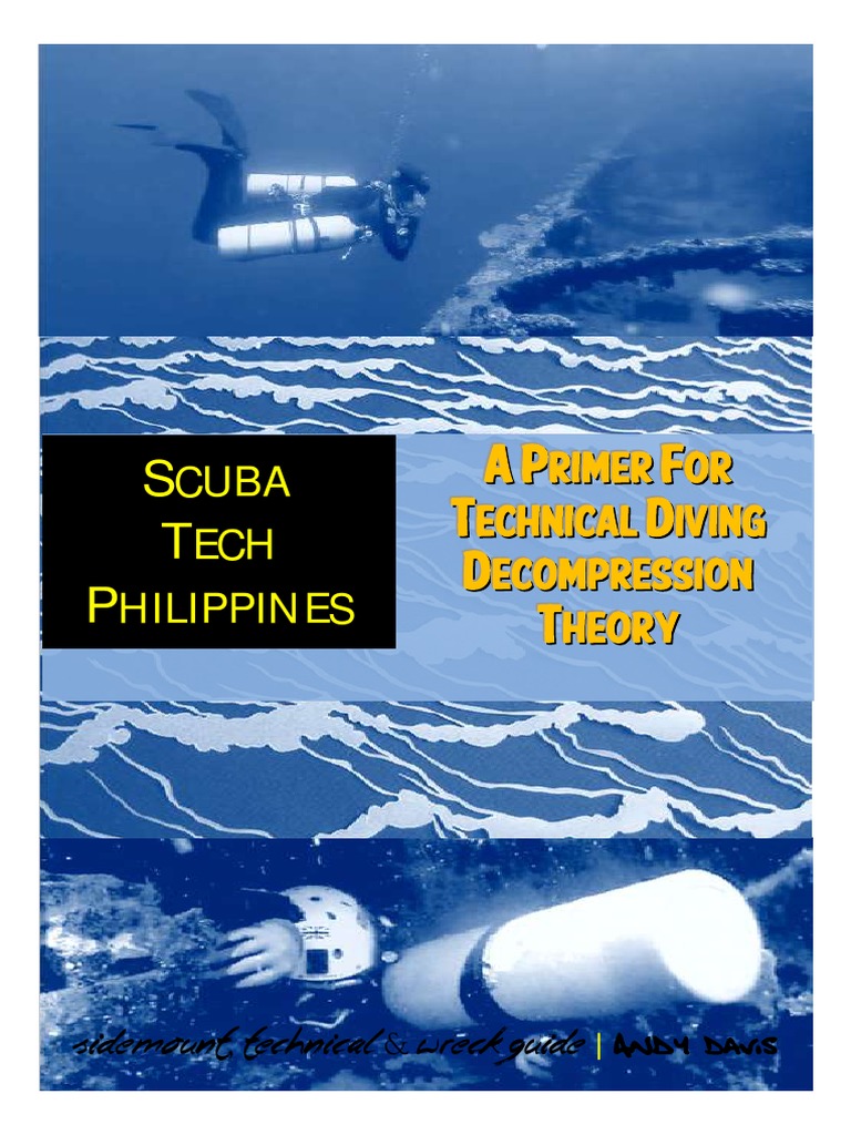 A Primer For Decompression Theory | PDF | Scuba Diving | Underwater Diving