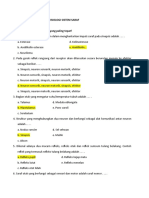 Latihan Soal Sistem Saraf