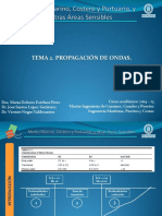 Tema2 Propagaci N de Ondas - 02