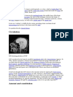 CSF Functions and Composition