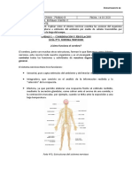 Guia N°1 2°medio B (Biología) - Unidad 1 - Cordinación y Regulación