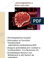 Functia Procoagulanta A Endoteliului Vascular
