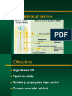 Sistem nervos.pdf