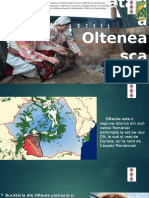 Bucataria Olteneasca - Etnologie