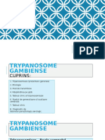 Trypanosome Gambiense