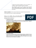Outdoor-Air-Pollution.docx