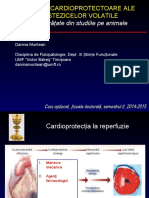 Curs - 4 - Model Experimental - SC Doct - 2015