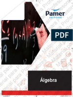 08 Algebra 4 PDF