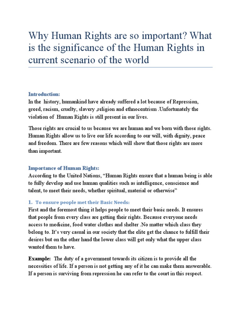Human Rights Assignment | PDF | Liberty | Human Rights