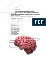 TUGAS PRAKTIKUM MINGGU 1 NEUROMUSKULOSKELETAL