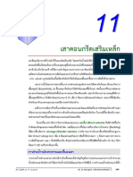 C11 Column PDF