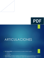 Generalidades de Articulaciones