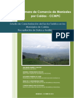 Estudio_Caracterizacion_Sector_Turismo_Caldas.pdf