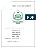 Antibiotics From Soil Microorganisms