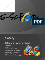1 E-Safety