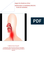 Plan de Nursing - Jossan Livia