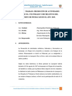 Plan de Trabajo de Actividades Artistico Culturales de Pichacani - Laraqueri 2019