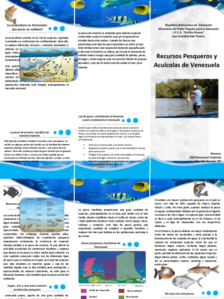 Triptico/Folleto Sobre Los Recursos Pesqueros y Acuicolas en Venezuela PDF Acuicultura