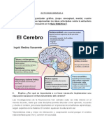 Estructura del cerebro y aprendizaje basado en la neurociencia