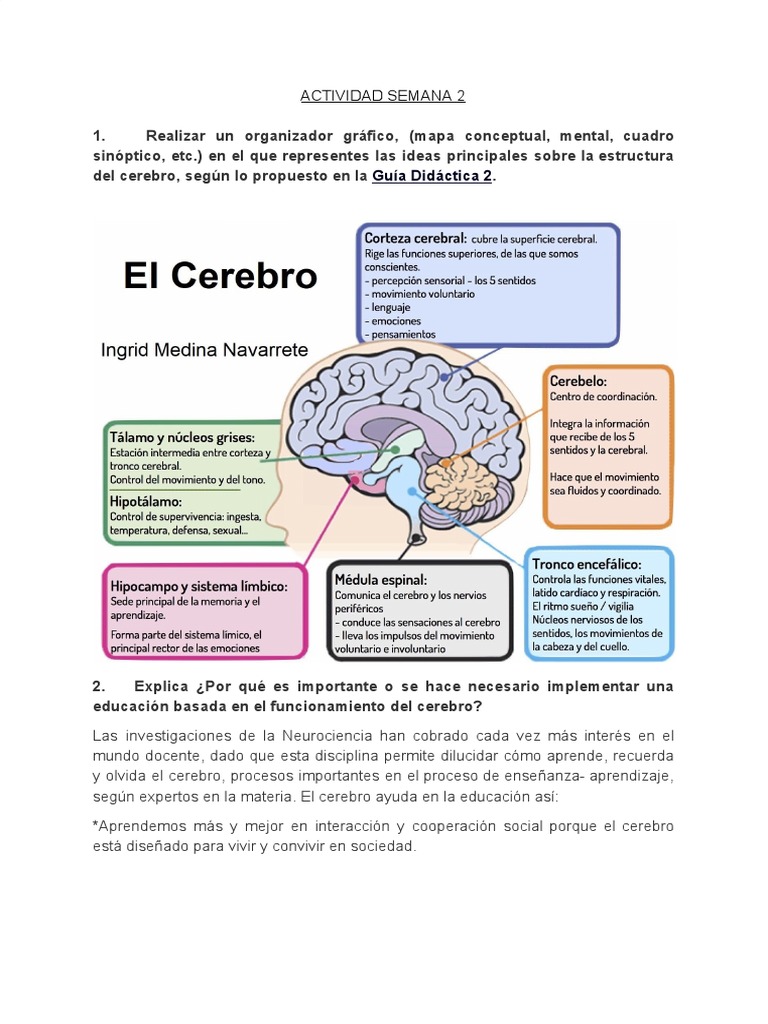 Actividad Semana 2 | PDF