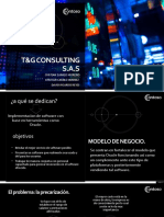 T&G Consulting 2.0