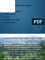 Tugas Geografi Hutan