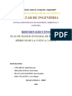 resumnen_ejecutivo1.docx