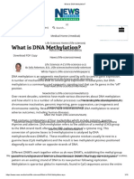 What Is DNA Methylation - PDF