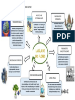 Actividad Isla de Las Flores
