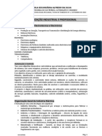 Organizacao Industrial Profissional