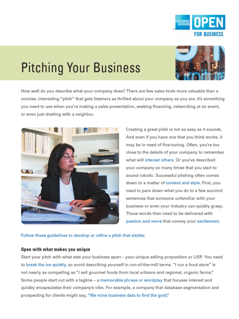 Crafting an Effective Business Pitch | PDF | Target Audience | Business