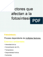 Factores Que Afectan A Fotosintesis PDF