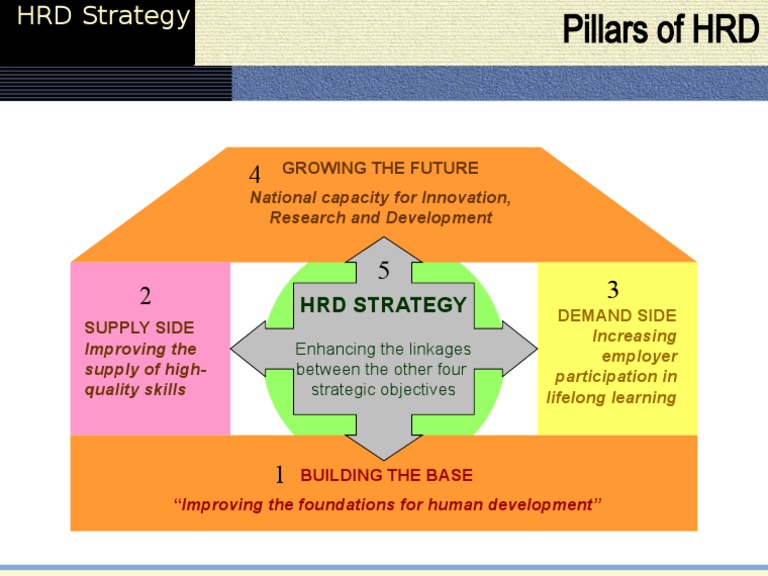 HRD Strategy for Innovation and Skills | PDF