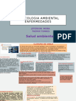 Toxicologia Ambiental