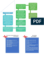 Procedimiento de Un Electrocardiograma