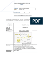 Ejercicio1_Tarea 3