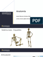 Uniminuto Anatomía 4