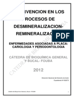Bioquimica - Intervención en Los Procesos Mineralizacion - Remineralización