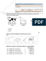 EVALUACIÓN Lomgitudes