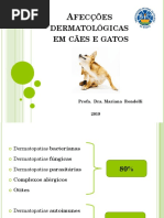 1 dermatopatias fúngicas e parasitárias