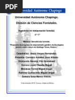 Propuesta de Programa de Mejoramiento Genético de Eucalyptus Grandis Contra Cancro en Santiago Yaveo, Oaxaca."