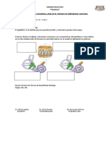 Hoja de Trabajo 4 Biologia PDF